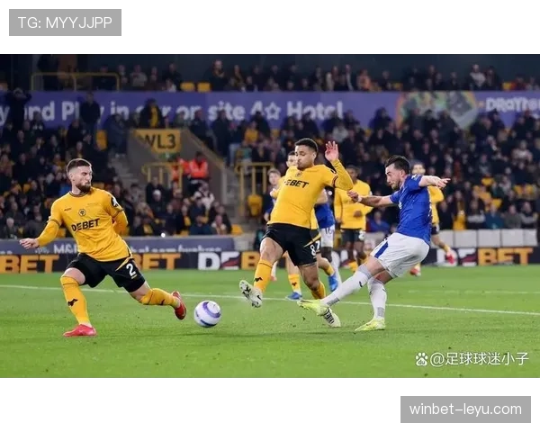 埃弗顿精耕转会策略，稳步提升战力剑指新赛季高光表现