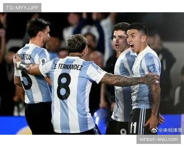 恩佐在阿根廷国家队的主力地位解析
