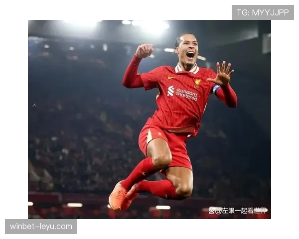 范戴克世界杯表现解析 范戴克世界杯表现解析